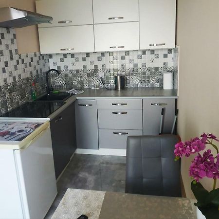 Oskar Apartament Centrum Pkp Mińsk Mazowiecki Extérieur photo